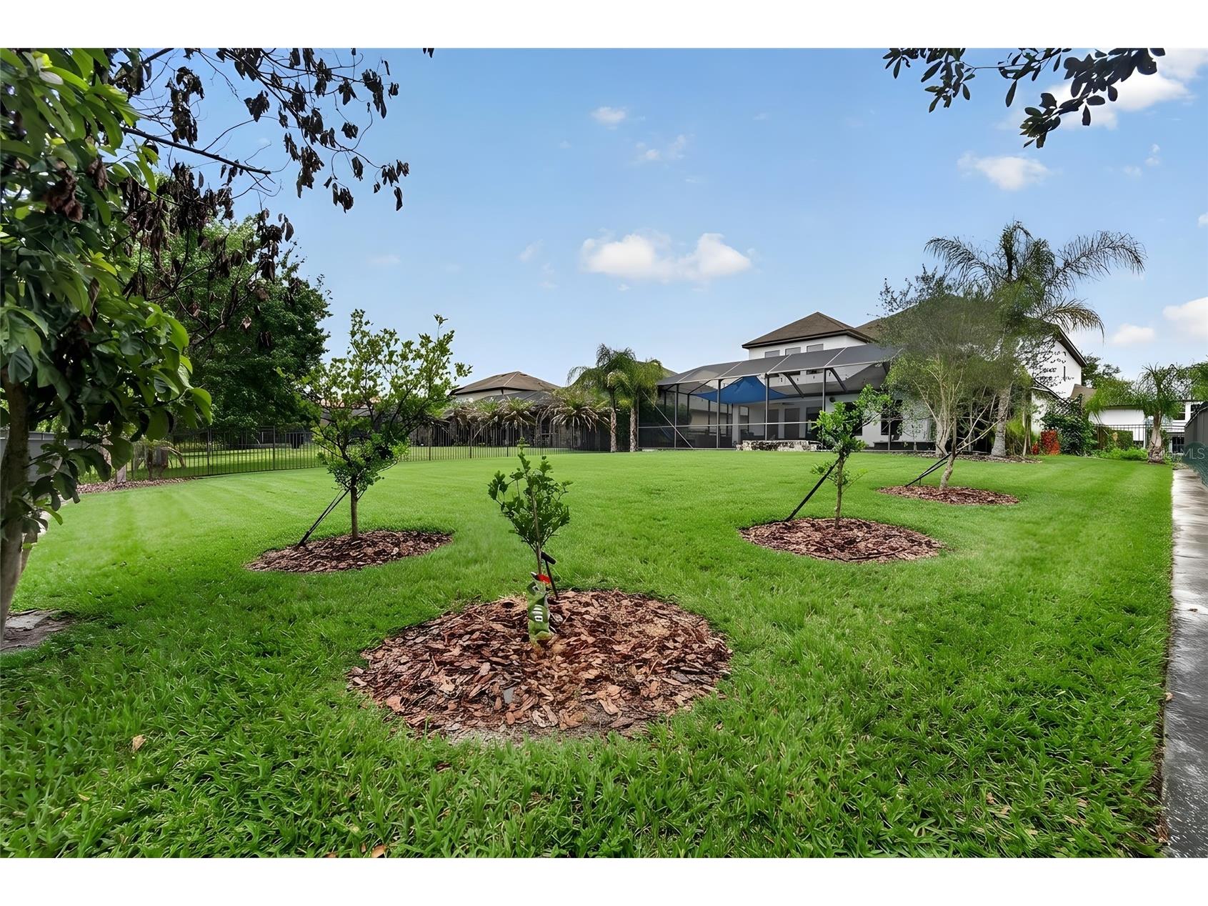 7959 Hampton Lake Drive Tampa FL 33647 TB8508986 image68