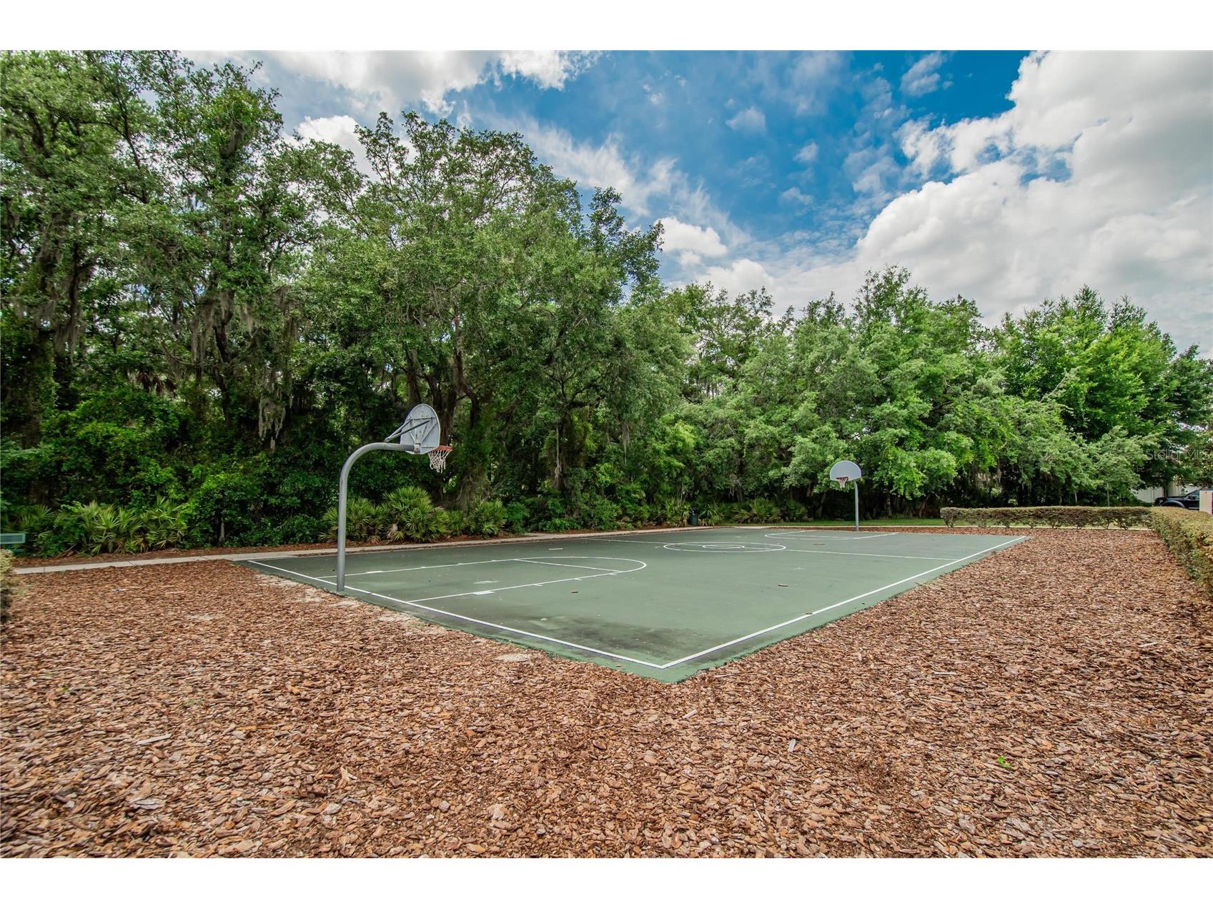 7959 Hampton Lake Drive Tampa FL 33647 TB8508986 image89