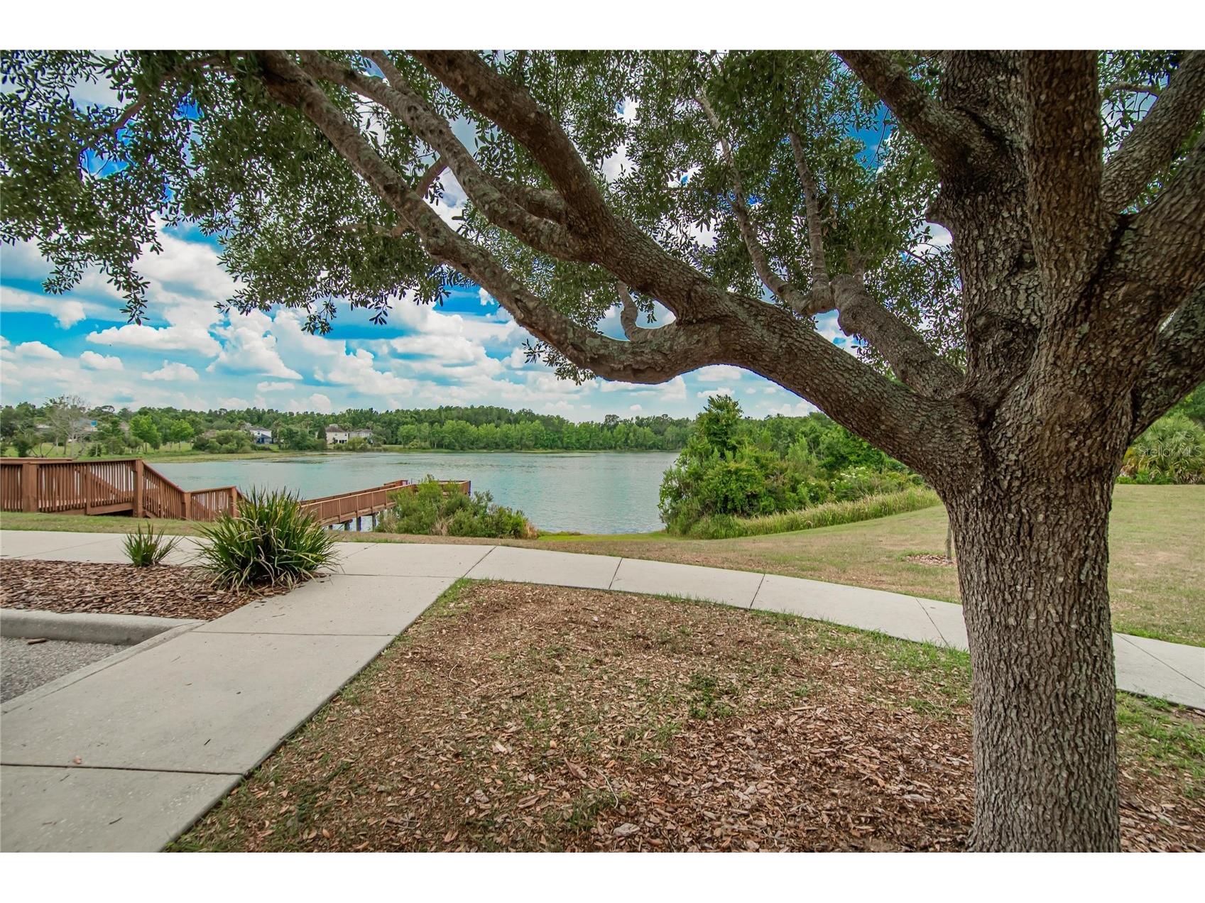 7959 Hampton Lake Drive Tampa FL 33647 TB8508986 image91