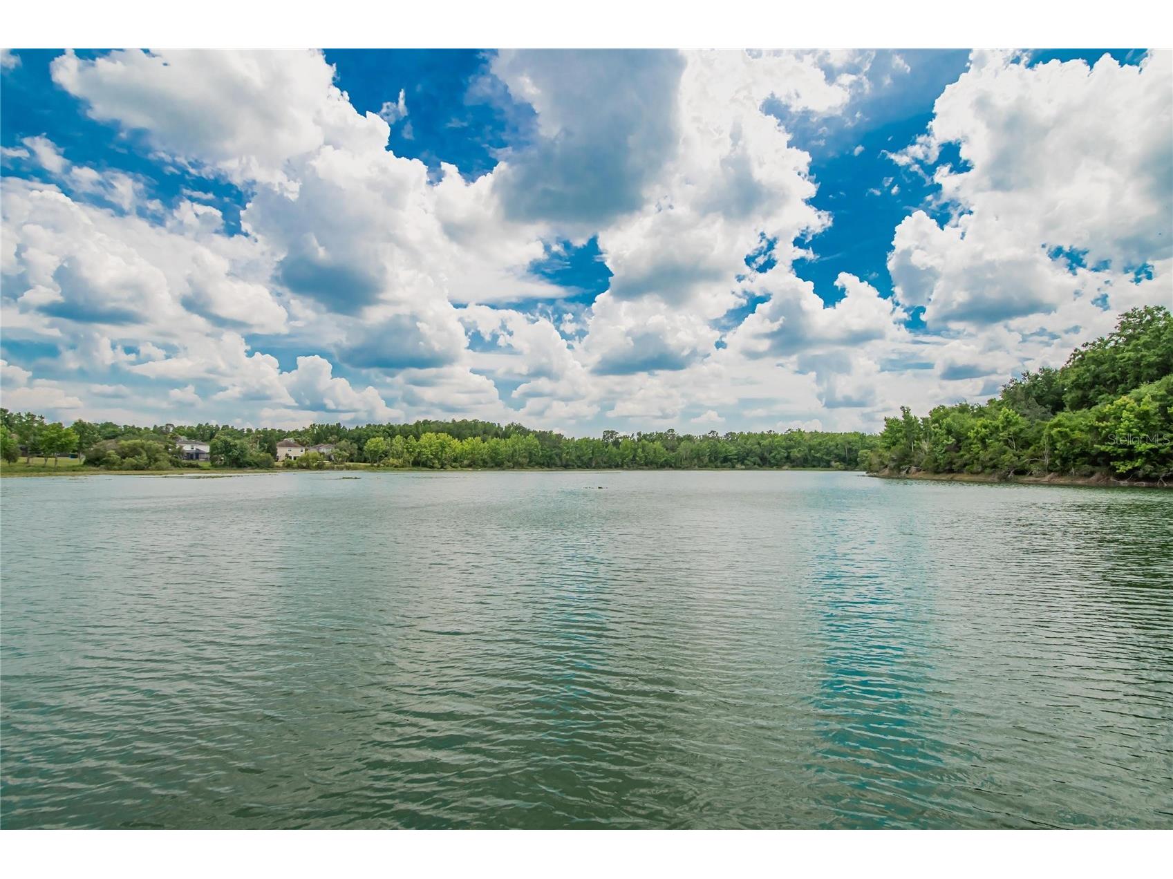7959 Hampton Lake Drive Tampa FL 33647 TB8508986 image94