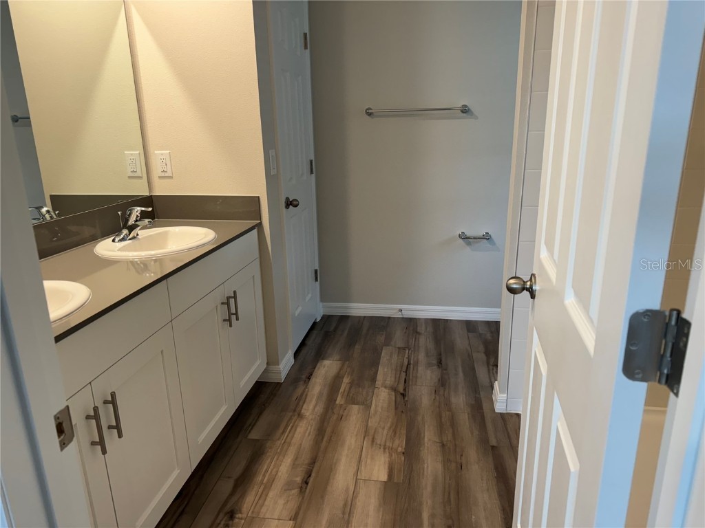 7959 Peace Lily Avenue Wesley Chapel FL 33545 O6358039 image11