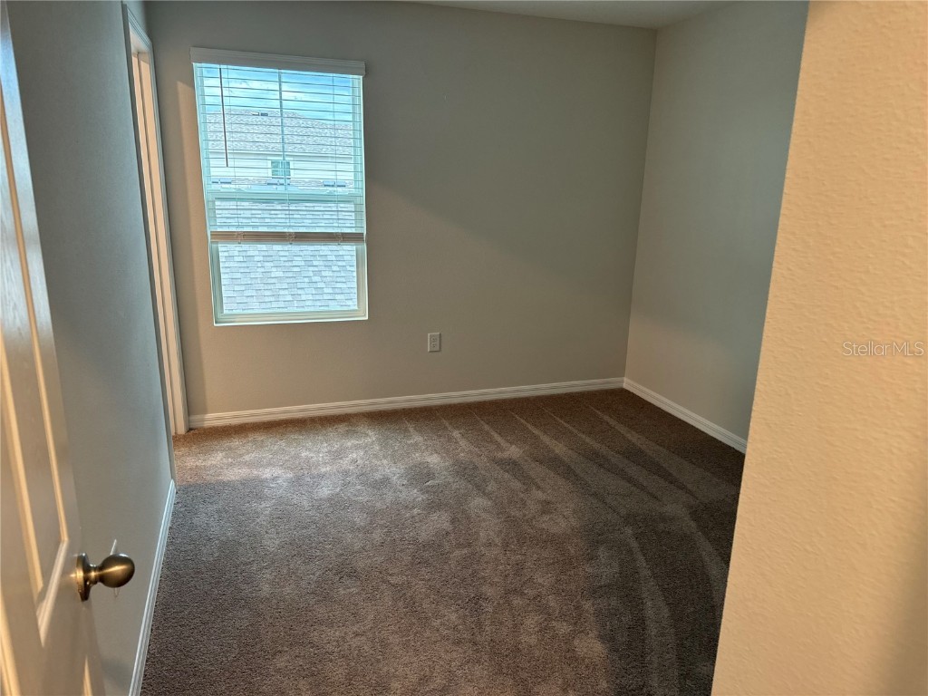 7959 Peace Lily Avenue Wesley Chapel FL 33545 O6358039 image12