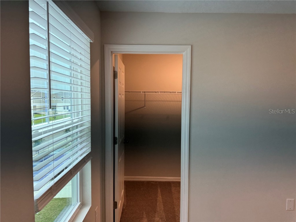 7959 Peace Lily Avenue Wesley Chapel FL 33545 O6358039 image13