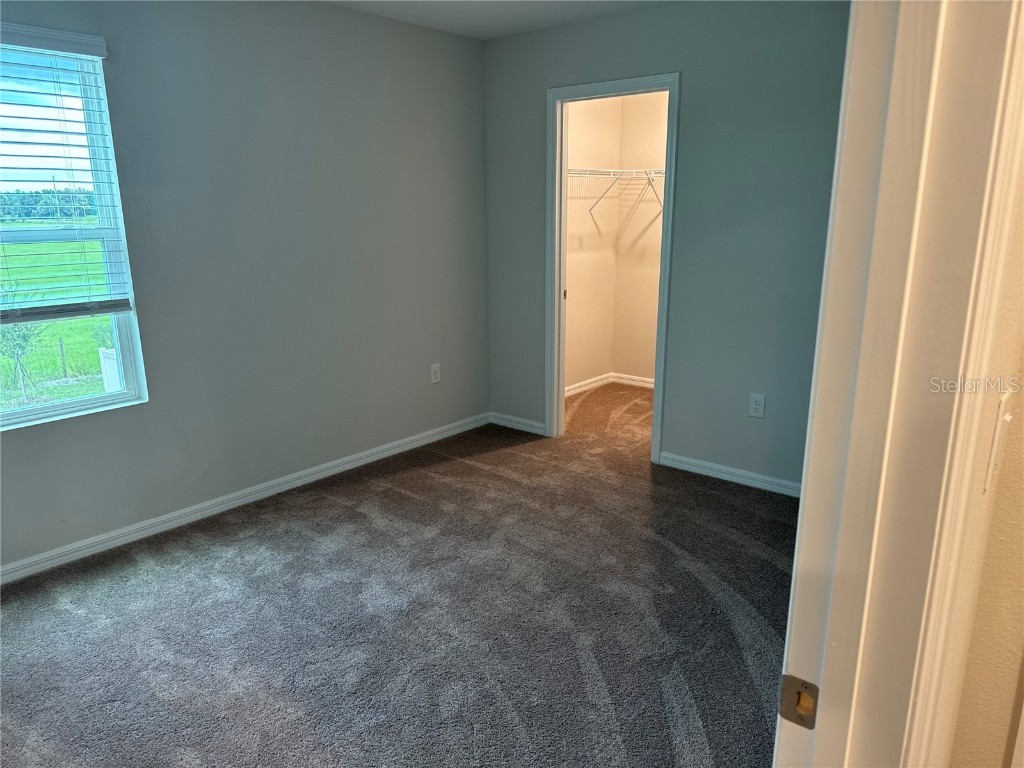 7959 Peace Lily Avenue Wesley Chapel FL 33545 O6358039 image15