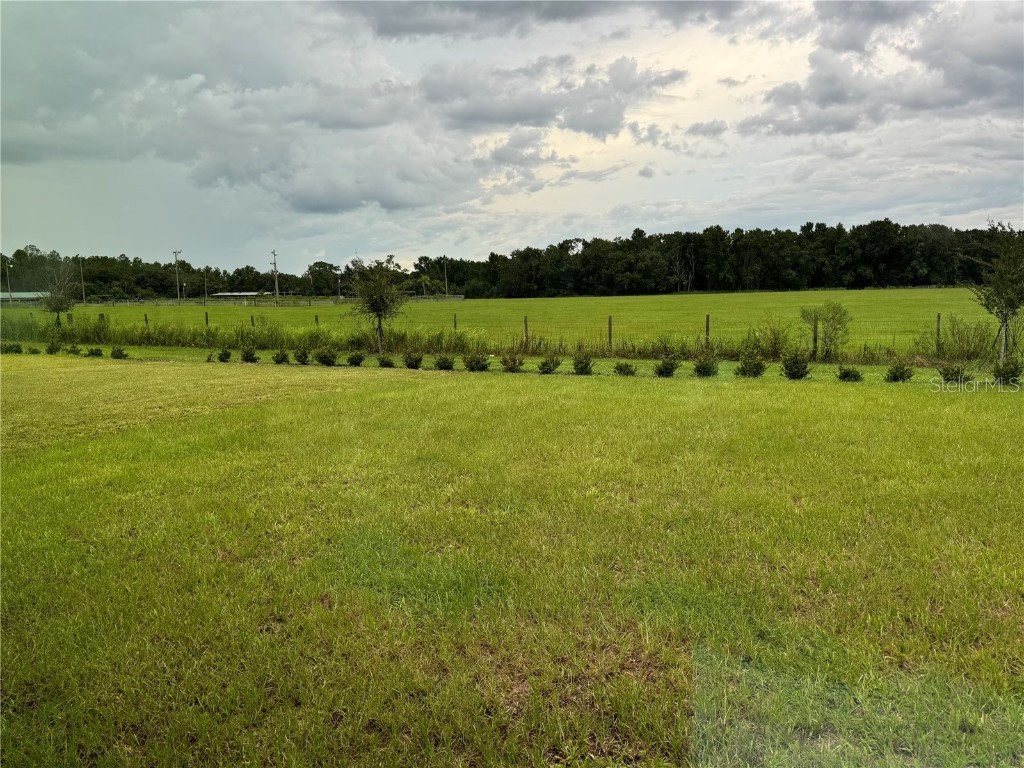 7959 Peace Lily Avenue Wesley Chapel FL 33545 O6358039 image17