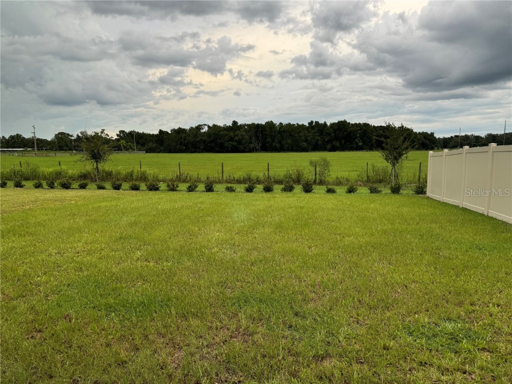 7959 Peace Lily Avenue Wesley Chapel FL 33545 O6358039 image18