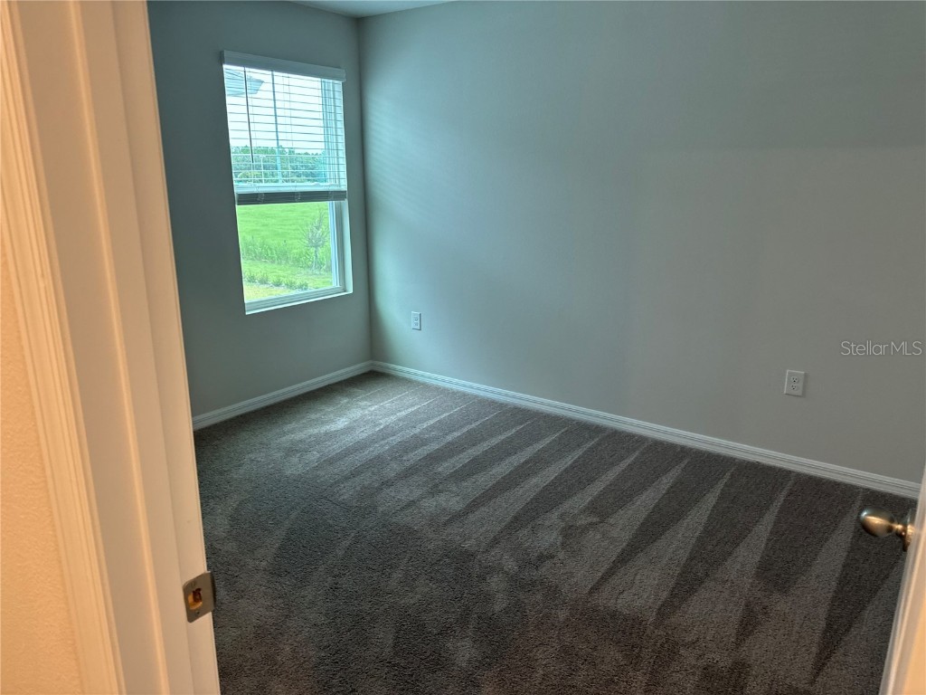 7959 Peace Lily Avenue Wesley Chapel FL 33545 O6358039 image5