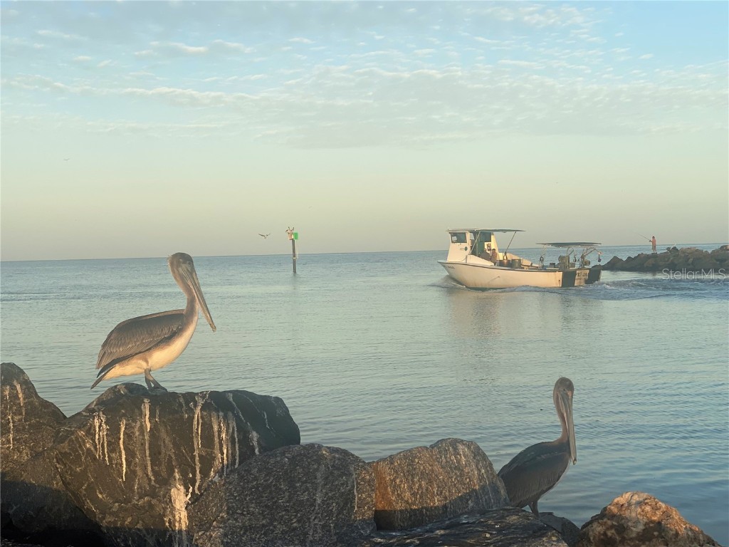 796 Bird Bay Way #BLD 30 Venice FL 34285 N6128302 image37