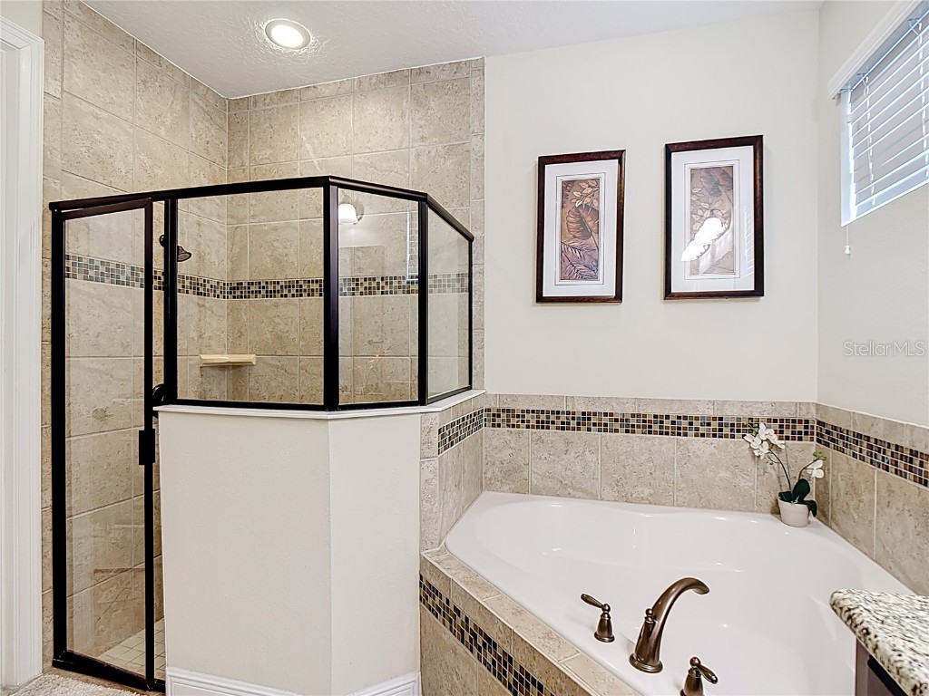 796 Desert Mountain Court Reunion FL 34747 O6314000 image22