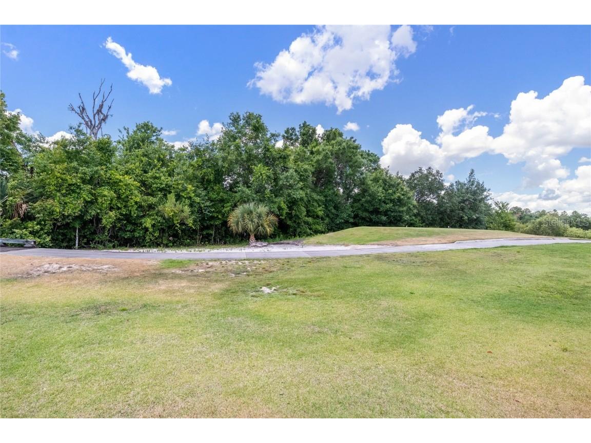 796 Desert Mountain Court Reunion FL 34747 O6314000 image73