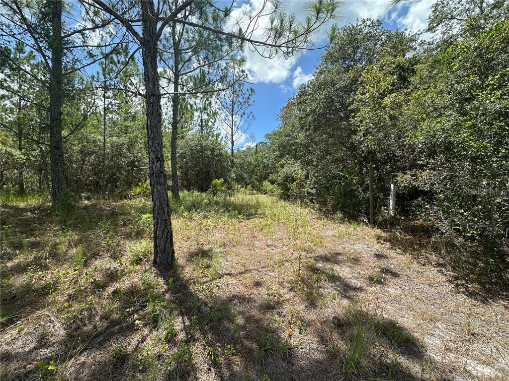 796 Fisher Road Ocklawaha FL 32179 G5100135 image1