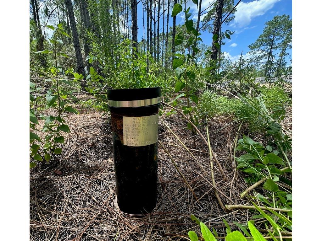 796 Fisher Road Ocklawaha FL 32179 G5100135 image2