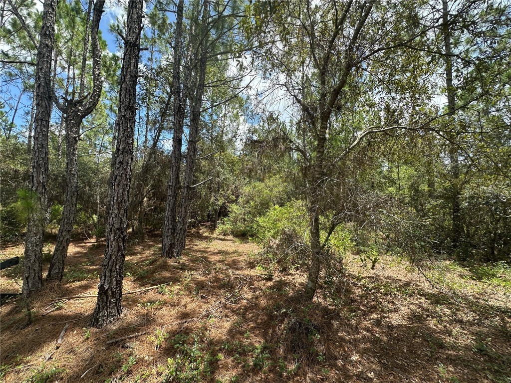 796 Fisher Road Ocklawaha FL 32179 G5100135 image3