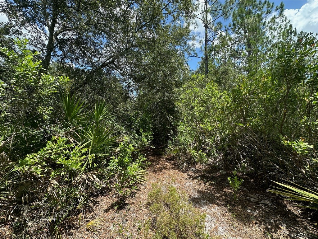 796 Fisher Road Ocklawaha FL 32179 G5100135 image4