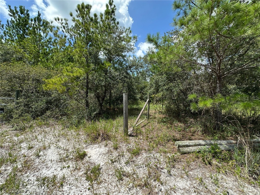 796 Fisher Road Ocklawaha FL 32179 G5100135 image5