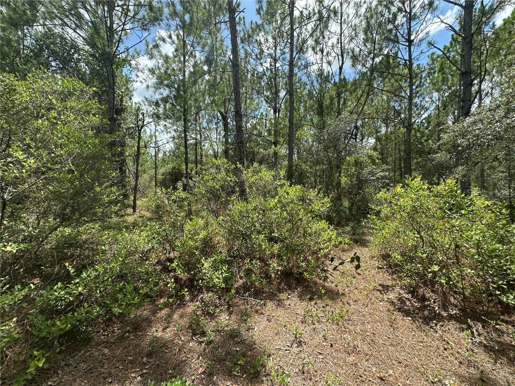 796 Fisher Road Ocklawaha FL 32179 G5100135 image6