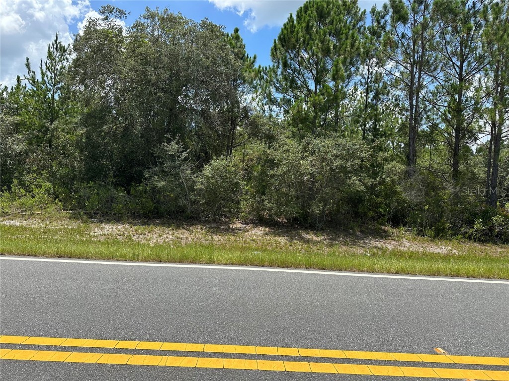 796 Fisher Road Ocklawaha FL 32179 G5100135 image7