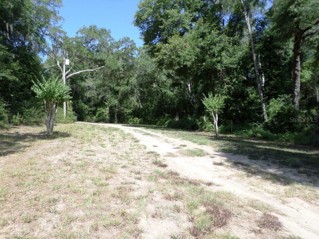 796 W Lightwood St Citrus Springs FL 34434 OM679574 image4