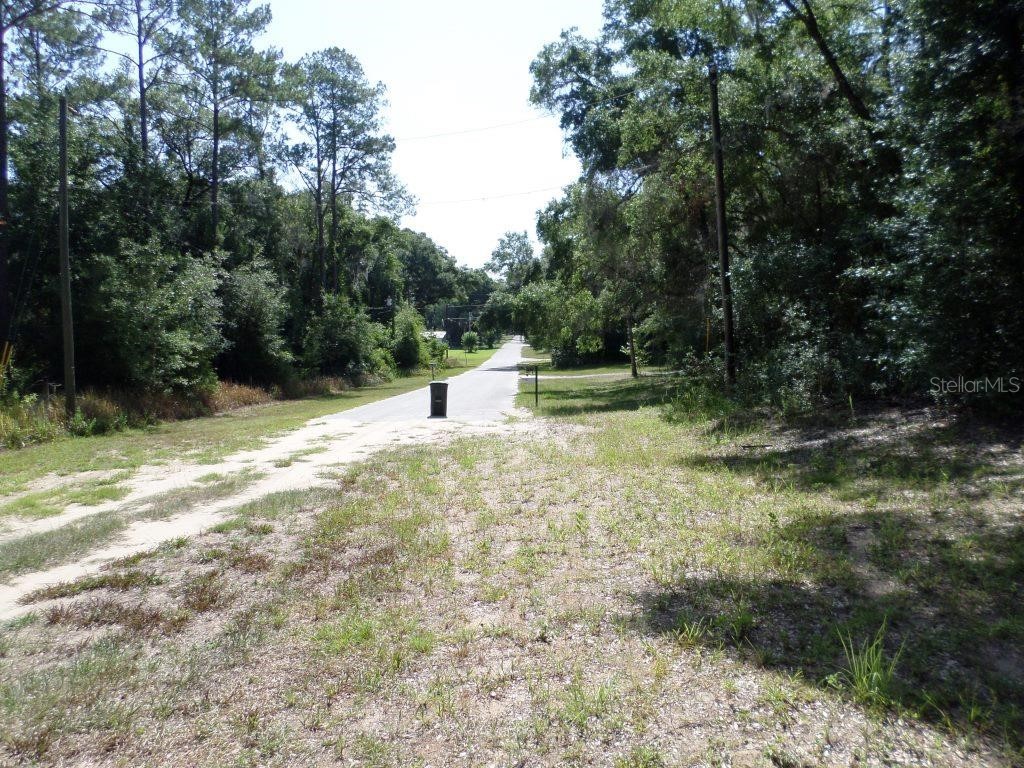 796 W Lightwood St Citrus Springs FL 34434 OM679574 image5