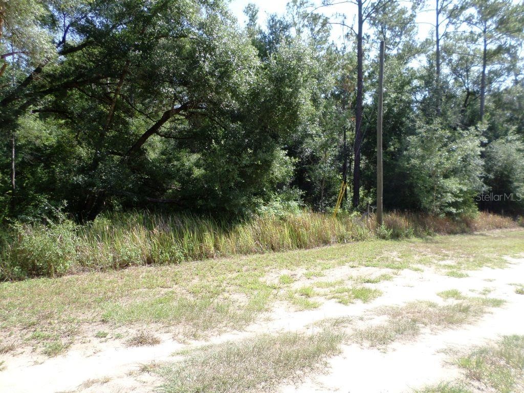 796 W Lightwood St Citrus Springs FL 34434 OM679574 image6