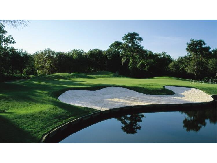 7960 Hampton Court University Park FL 34201 A4616397 image25