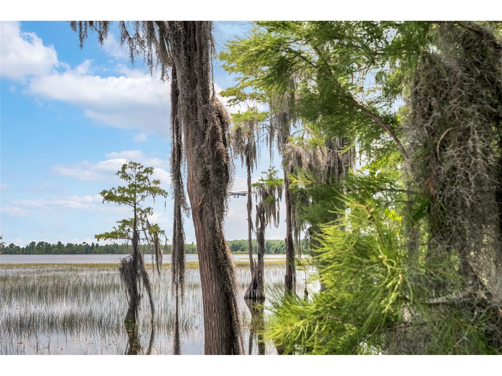 7964 Edgewood Forest Drive Orlando FL 32827 O6411769 image40