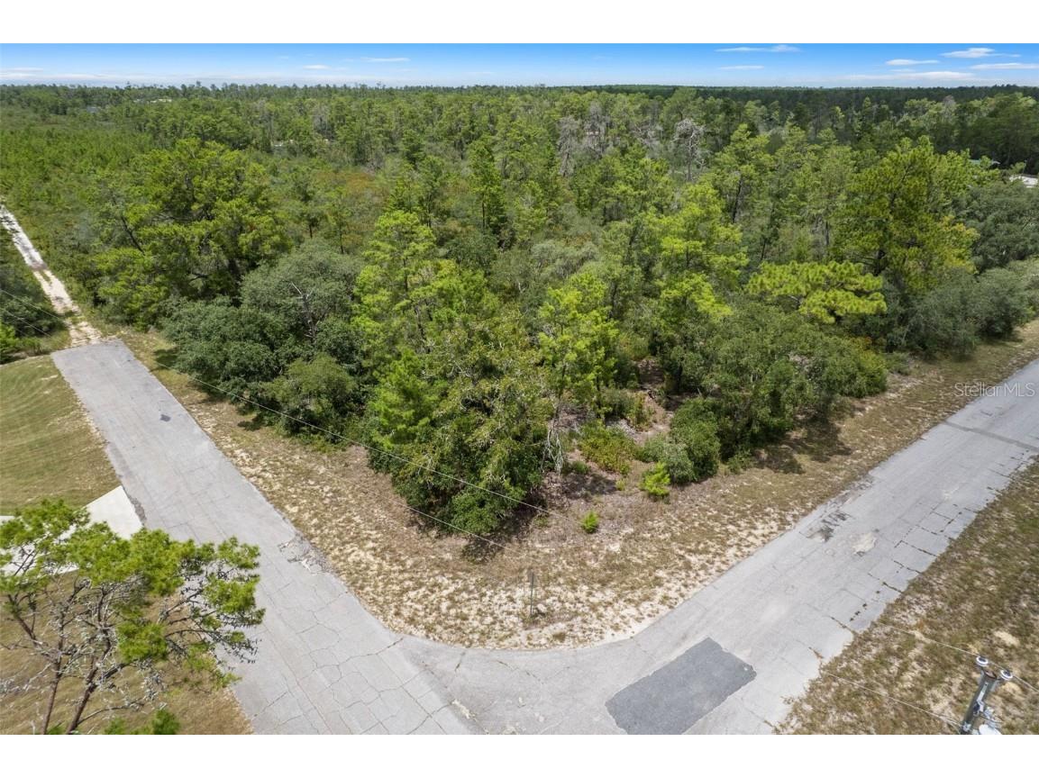 7964 N Gatewood Drive Citrus Springs FL 34433 W7878091 image1