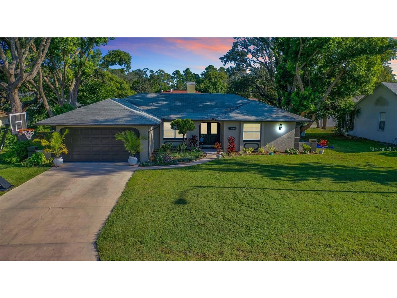 7965 Ravenwood Cove Spring Hill FL 34606 W7856107 image1