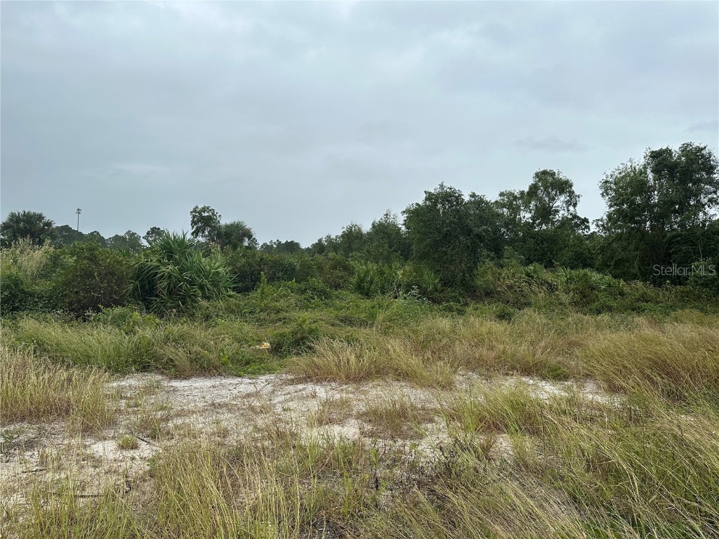 7969 1st Terrace Labelle FL 33935 U8182275 image1