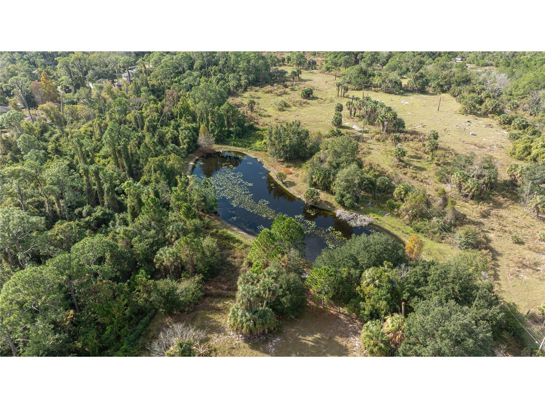7970 Bannon Fish Camp Road Haines City FL 33844 - LAKE MARION P4937391 image31