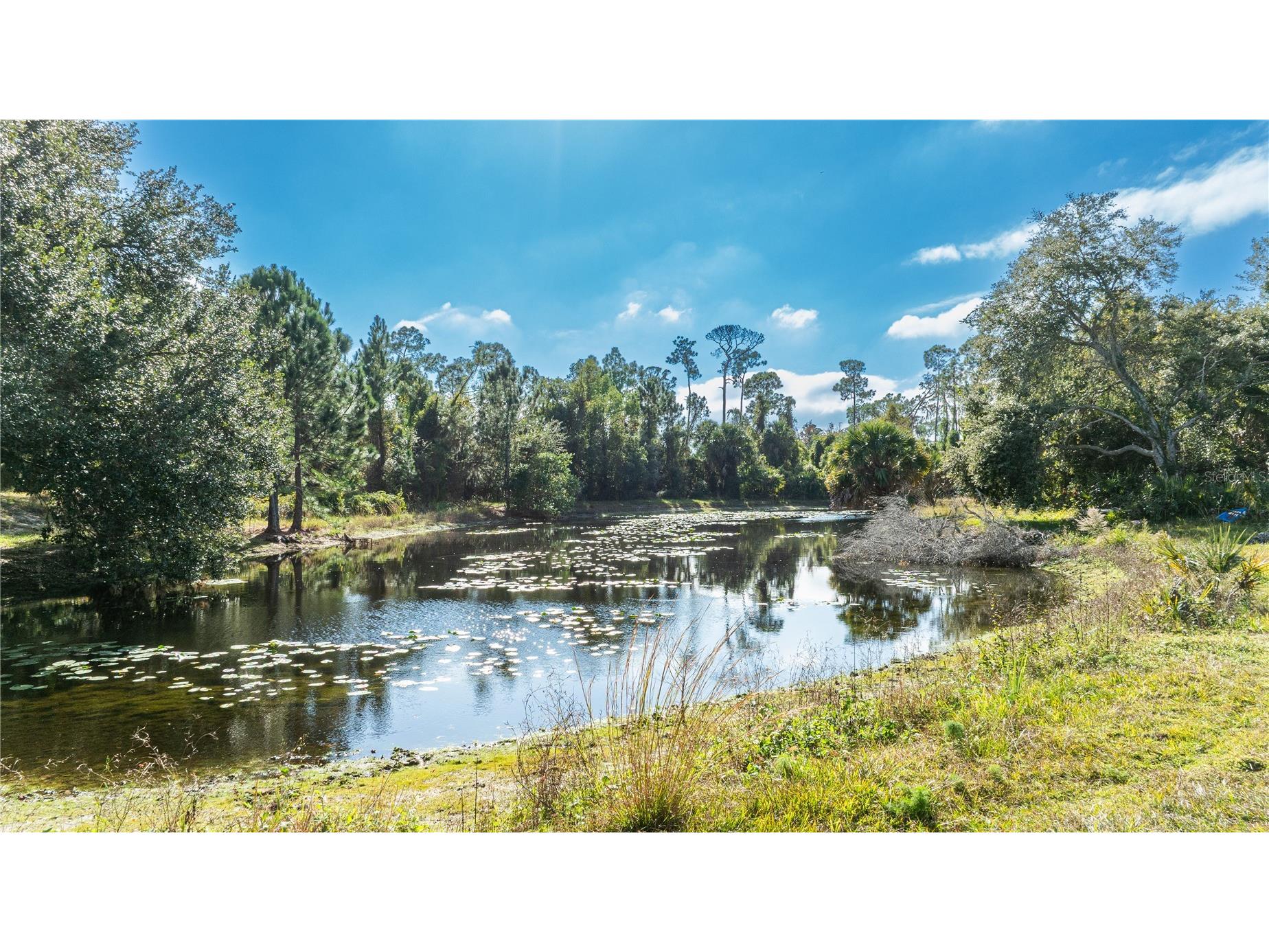 7970 Bannon Fish Camp Road Haines City FL 33844 - LAKE MARION P4937391 image41