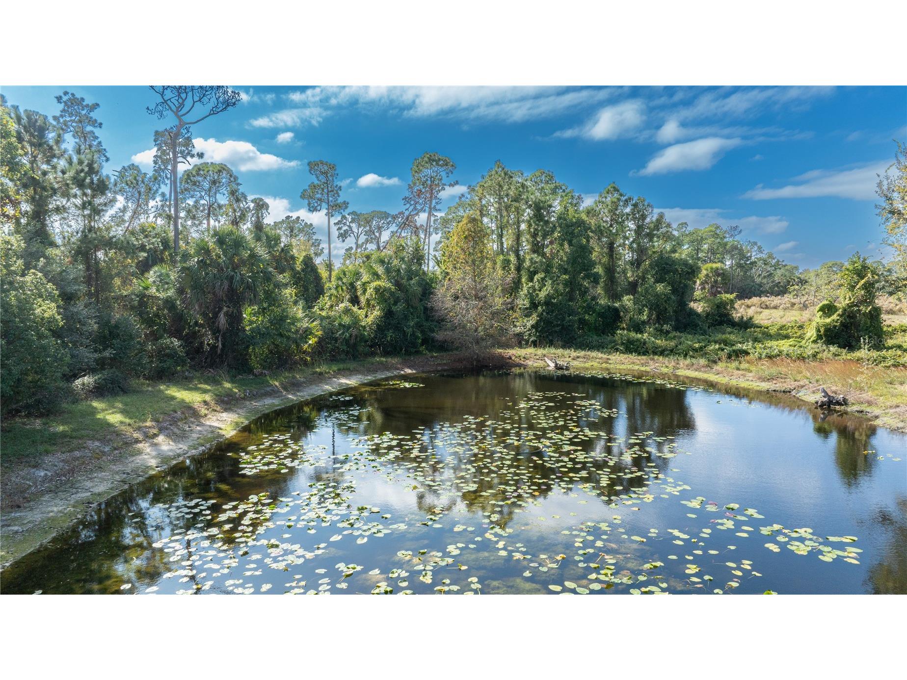 7970 Bannon Fish Camp Road Haines City FL 33844 - LAKE MARION P4937391 image57