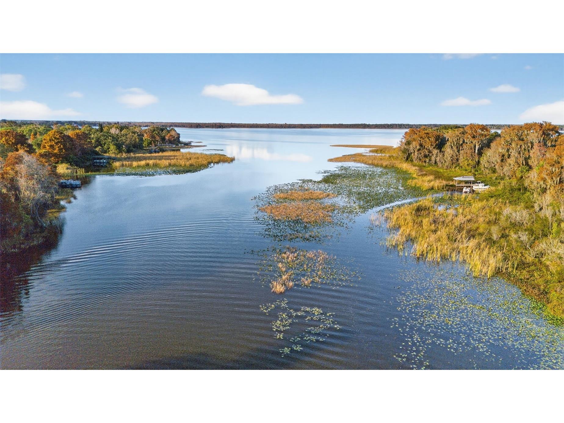 7970 Bannon Fish Camp Road Haines City FL 33844 - LAKE MARION P4937437 image16