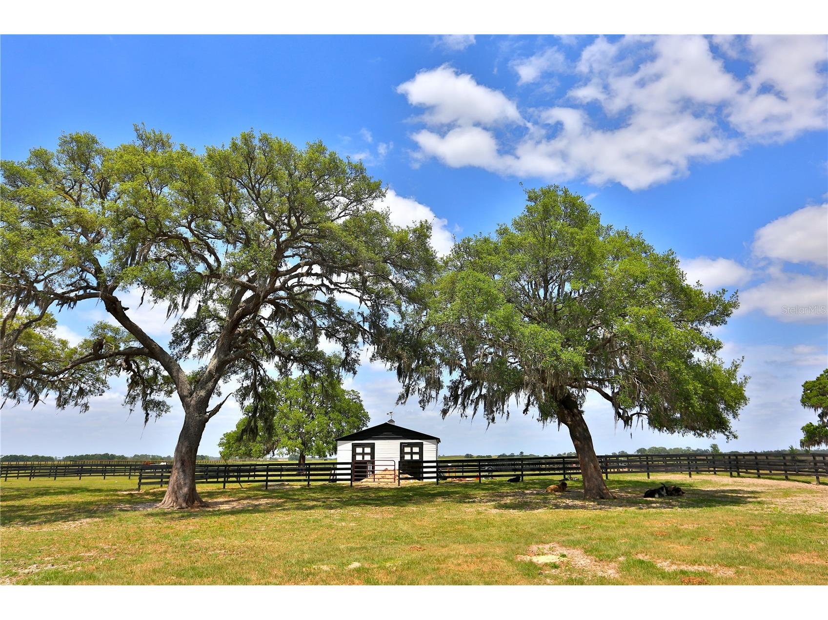 7970 SW 140th Avenue #OPTION 1 Dunnellon FL 34432 OM719952 image10