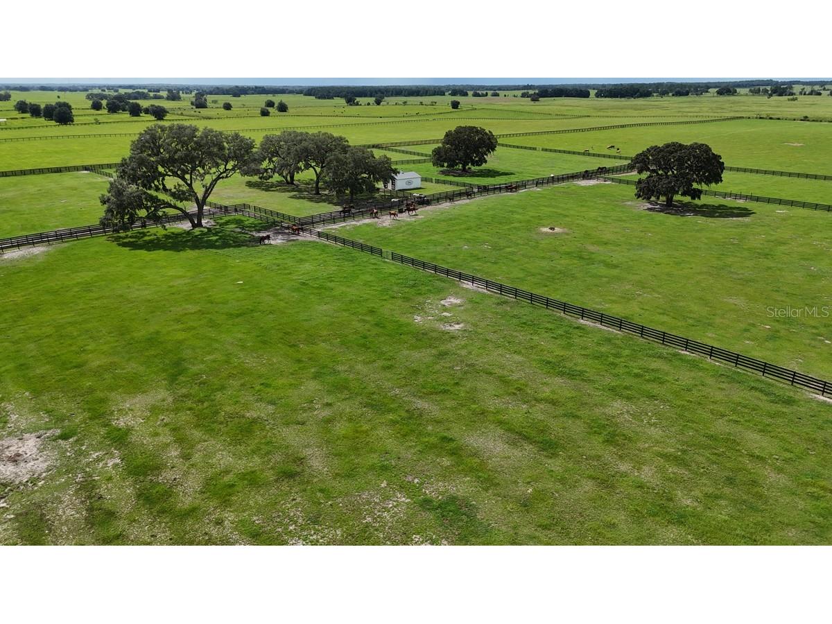 7970 SW 140th Avenue #OPTION 1 Dunnellon FL 34432 OM719952 image36