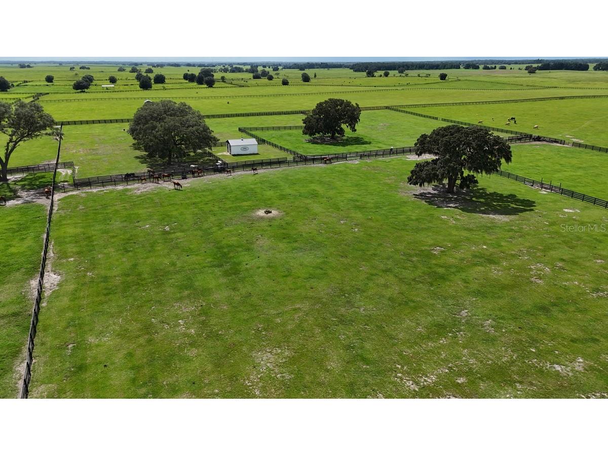 7970 SW 140th Avenue #OPTION 1 Dunnellon FL 34432 OM719952 image37