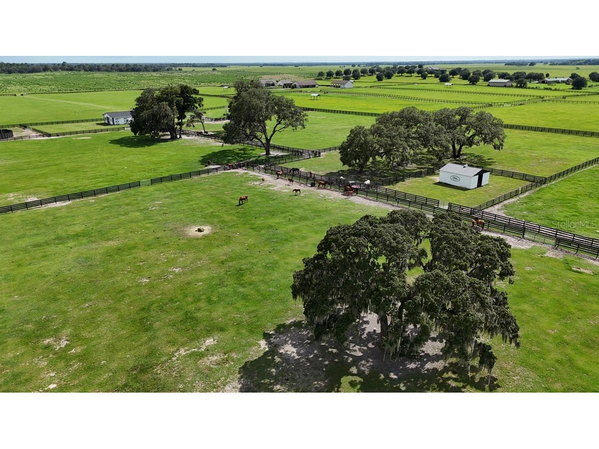 7970 SW 140th Avenue #OPTION 1 Dunnellon FL 34432 OM719952 image38