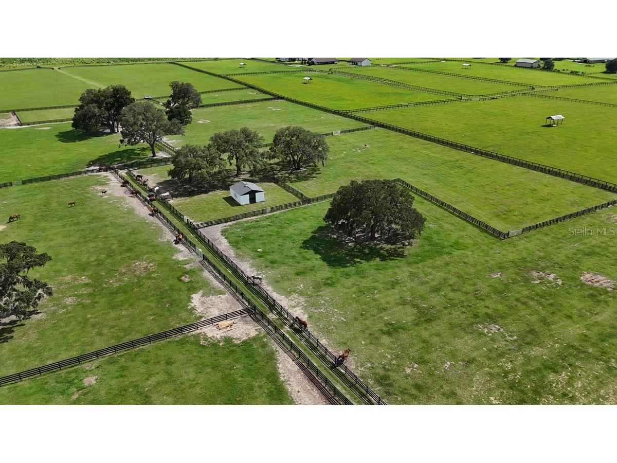 7970 SW 140th Avenue #OPTION 1 Dunnellon FL 34432 OM719952 image39