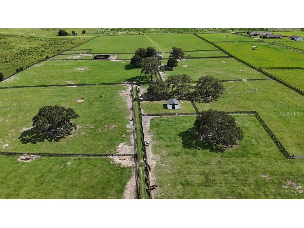 7970 SW 140th Avenue #OPTION 1 Dunnellon FL 34432 OM719952 image40