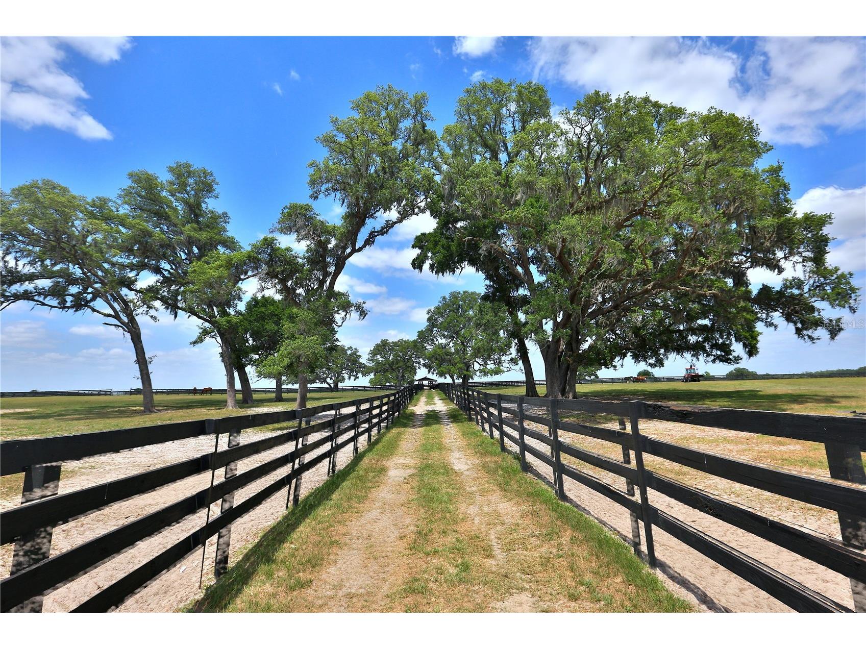 7970 SW 140th Avenue #OPTION 1 Dunnellon FL 34432 OM719952 image9