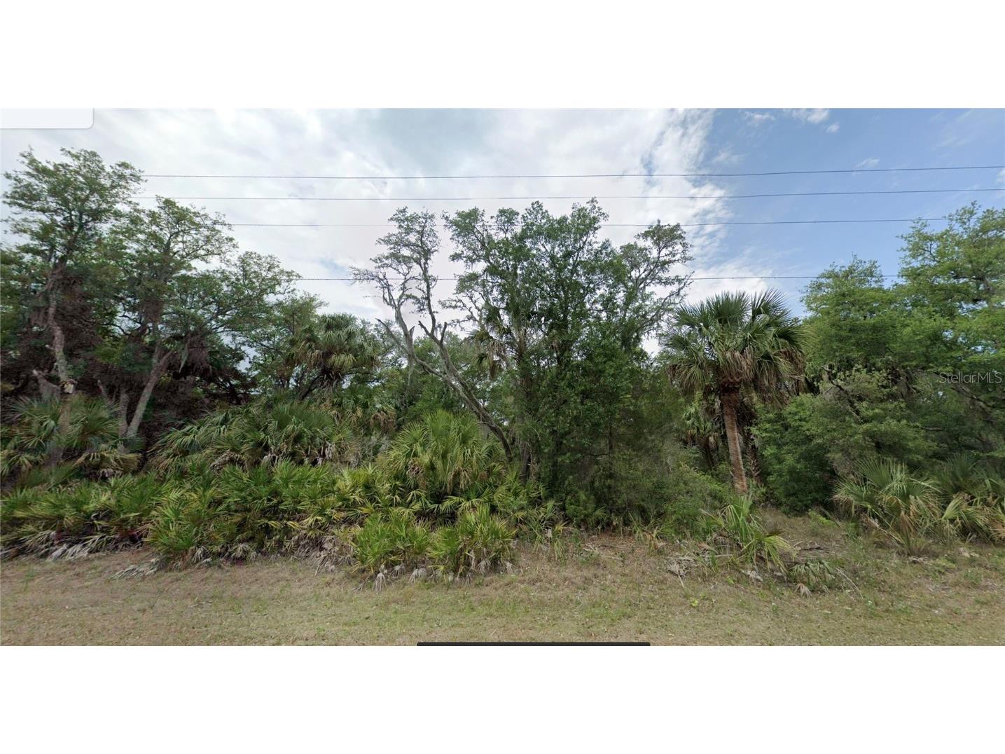 7972 N Basswood Avenue Crystal River FL 34428 A4647835 image1