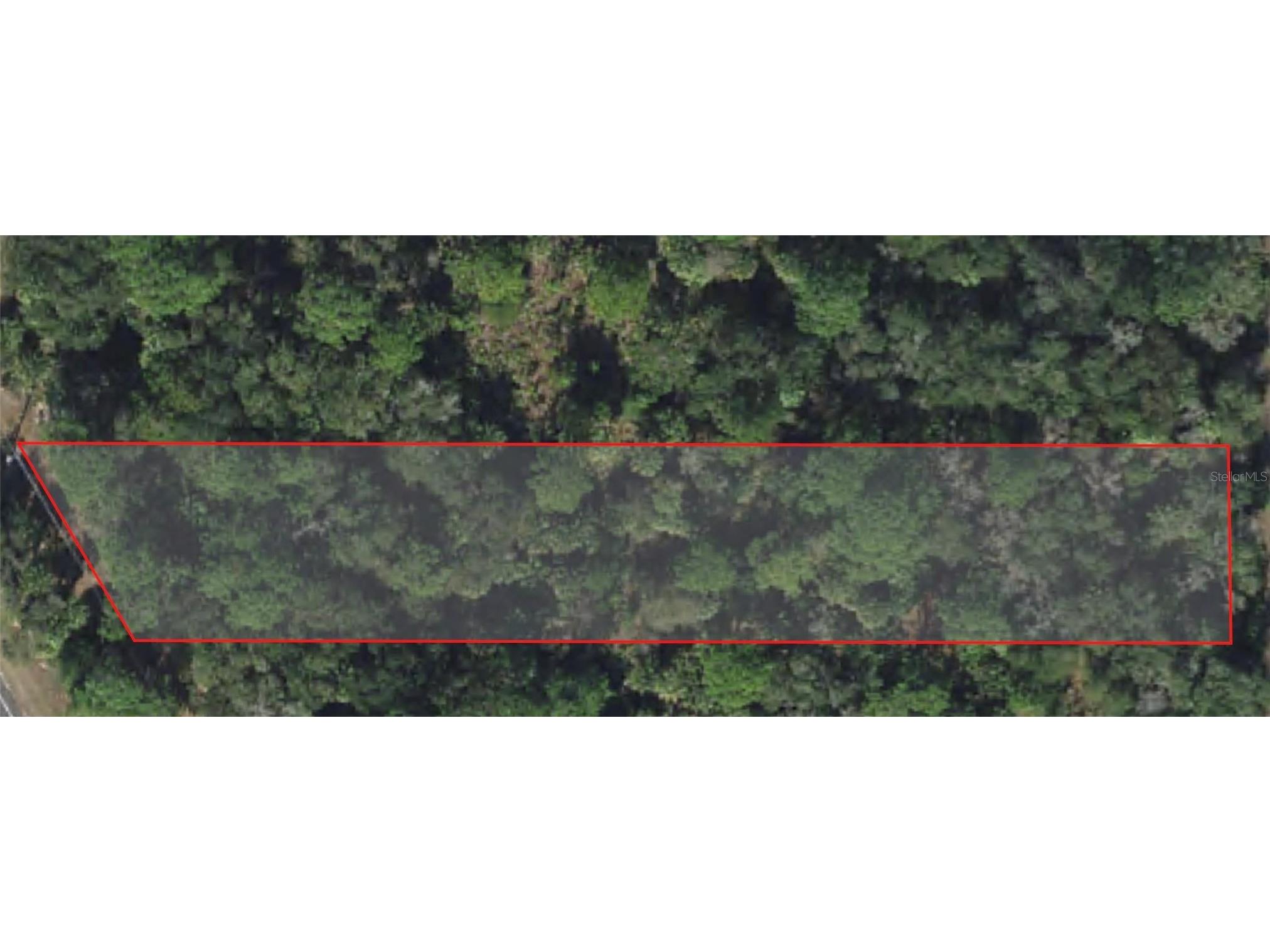 7972 N Basswood Avenue Crystal River FL 34428 A4647835 image3