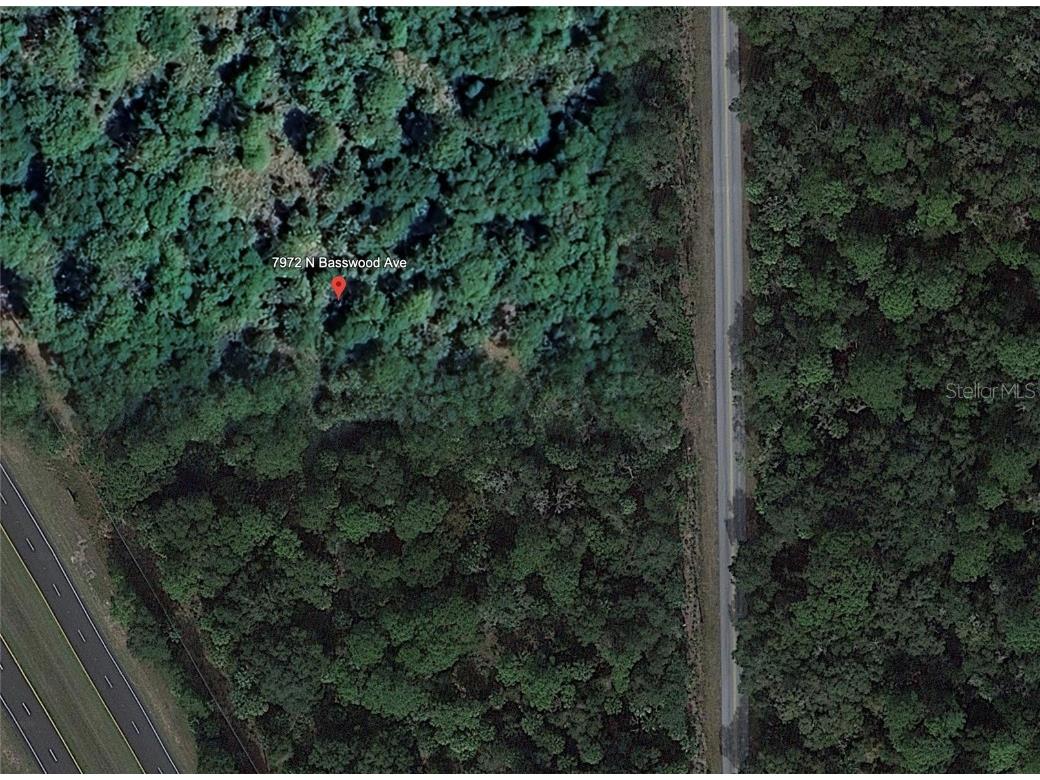 7972 N Basswood Avenue Crystal River FL 34428 A4647835 image4