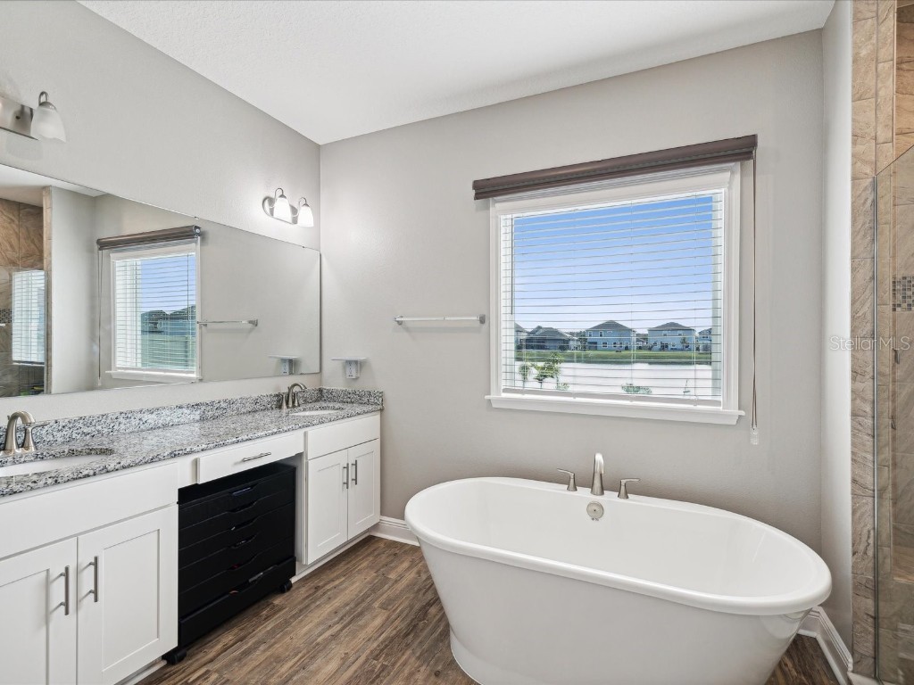 7973 Abby Brooks Circle Wesley Chapel FL 33545 TB8406825 image14