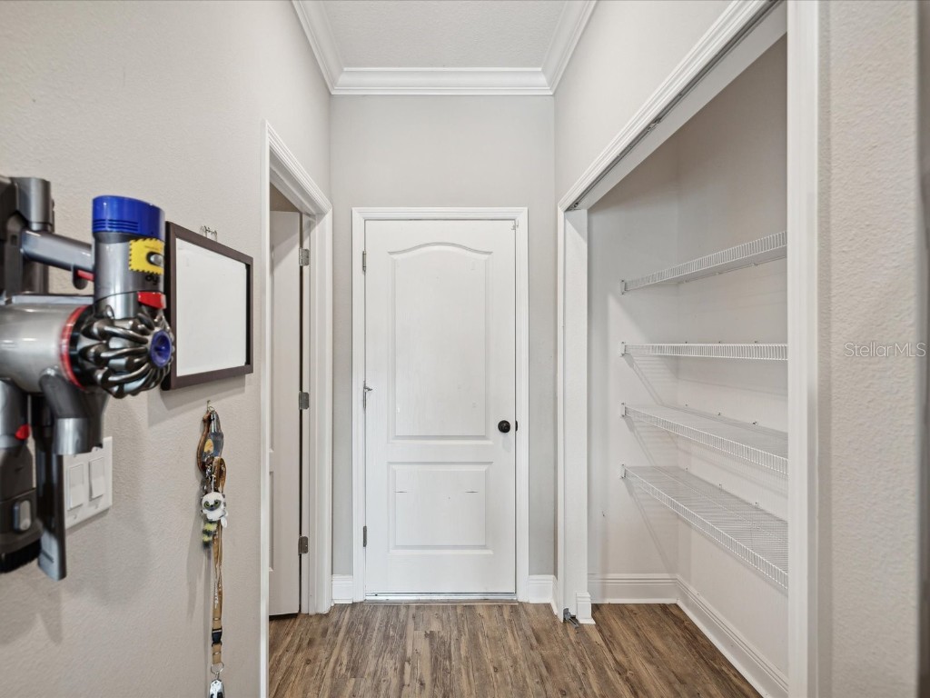 7973 Abby Brooks Circle Wesley Chapel FL 33545 TB8406825 image23