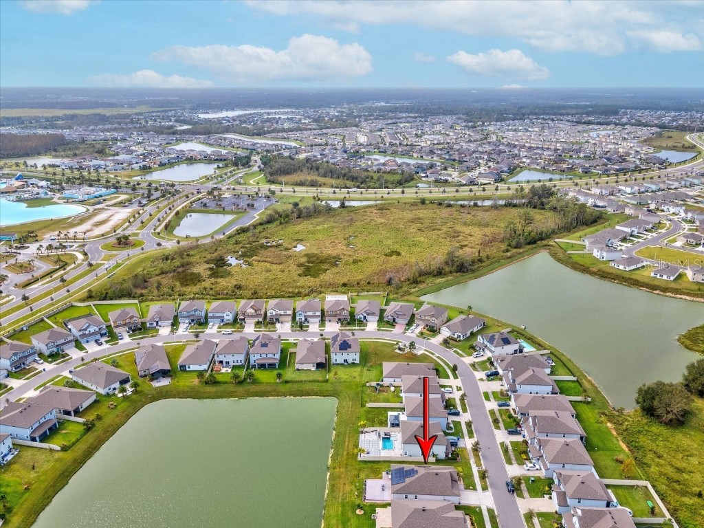 7973 Abby Brooks Circle Wesley Chapel FL 33545 TB8406825 image50