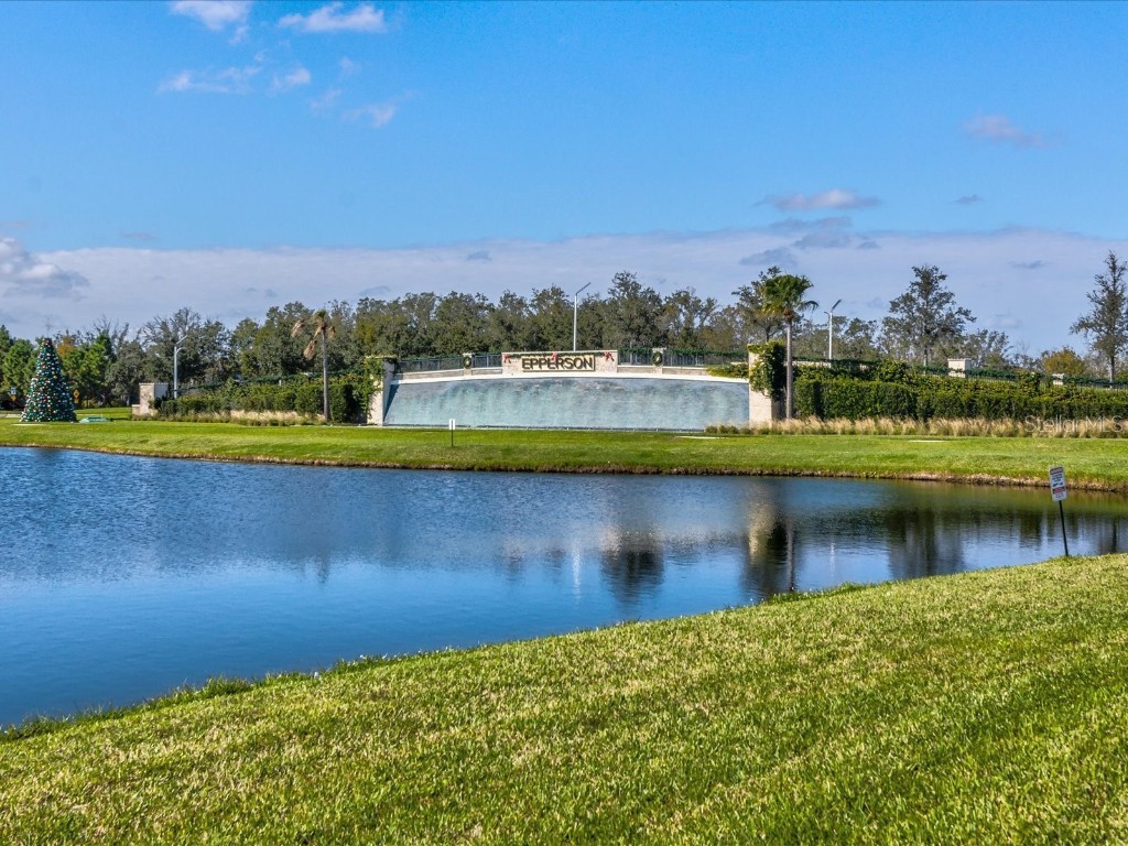 7973 Abby Brooks Circle Wesley Chapel FL 33545 TB8406825 image55