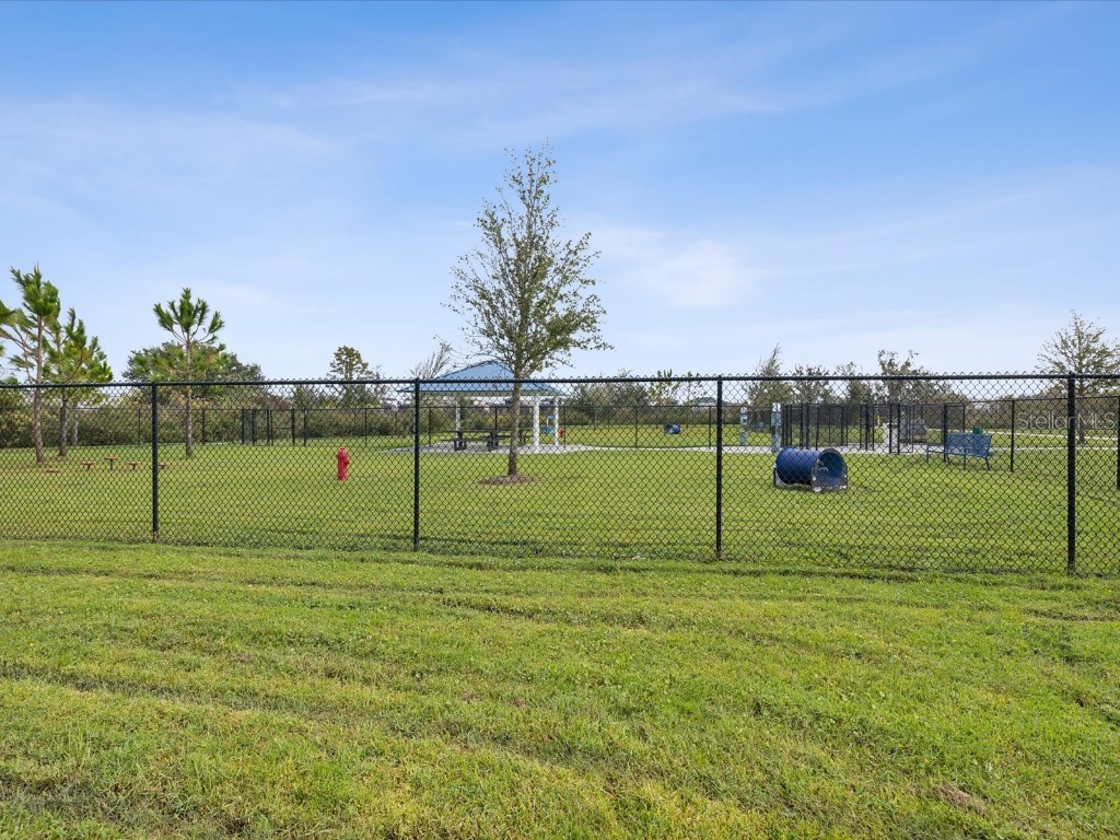 7973 Abby Brooks Circle Wesley Chapel FL 33545 TB8406825 image56