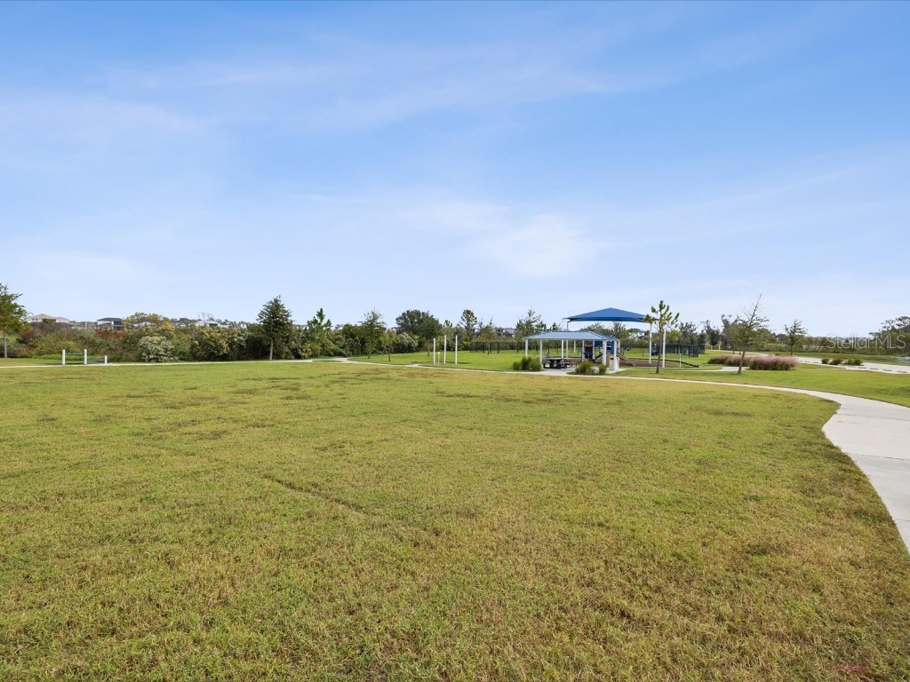 7973 Abby Brooks Circle Wesley Chapel FL 33545 TB8406825 image57