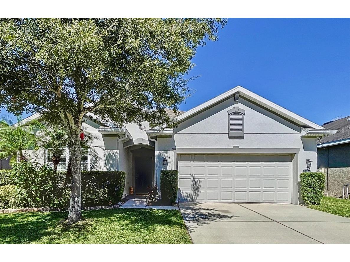 7973 Camden Woods Drive Tampa FL 33619 T3480492 image1